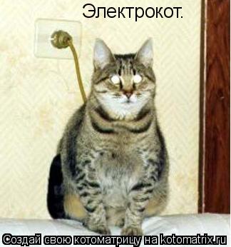 Электрокот.... Котоматрица: Электрокот.