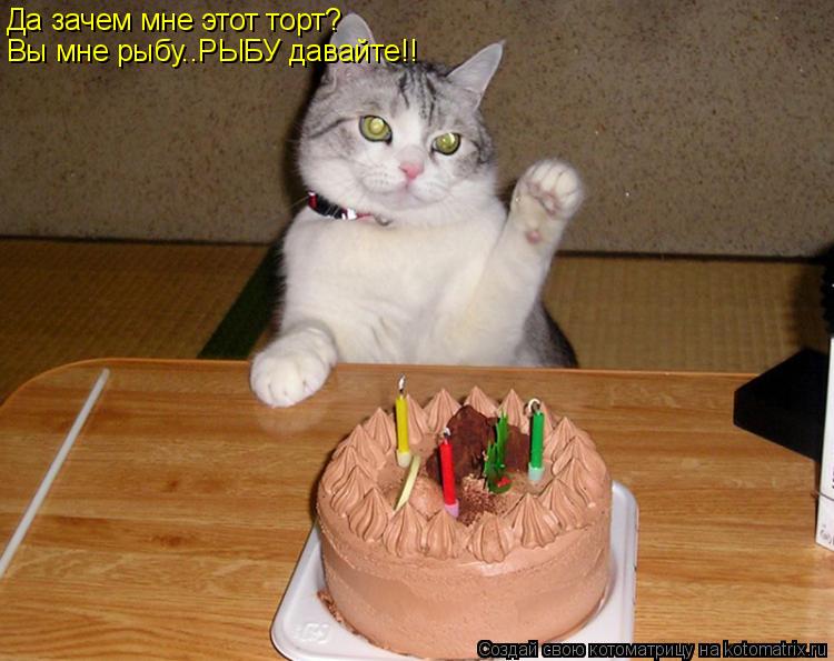 Да зачем мне этот торт? Вы мне рыбу..РЫБУ давайте!!... Котоматрица: Да зачем мне этот торт? Вы мне рыбу..РЫБУ давайте!!