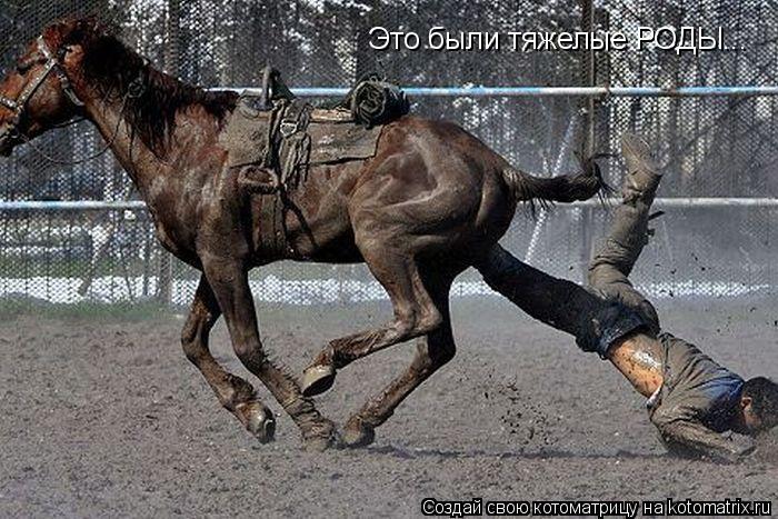 Это были тяжелые РОДЫ...... Котоматрица: Это были тяжелые РОДЫ...