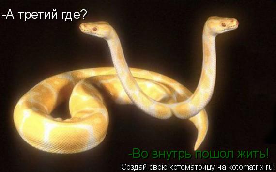 -А третий где? -Во внутрь пошол жить!... Котоматрица: -А третий где? -Во внутрь пошол жить!
