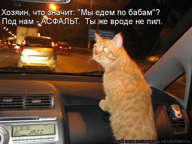 Котоматрица: Хозяин, что значит: "Мы едем по бабам"? Под нам - АСФАЛЬТ.  Ты же вроде не пил.
