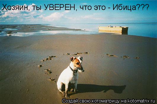 Хозяин, ты УВЕРЕН, что это - Ибица???... Котоматрица: Хозяин, ты УВЕРЕН, что это - Ибица???