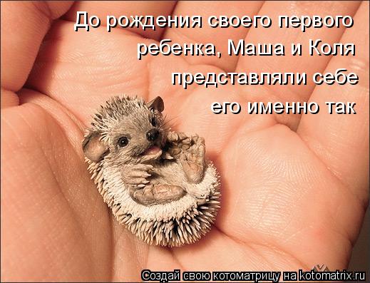 До рождения своего первого ребенка, Маша и Коля представляли себе его именно так... Котоматрица: До рождения своего первого ребенка, Маша и Коля представляли себе его именно так