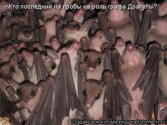 - Кто последний на пробы на роль графа Дракулы?... Котоматрица: - Кто последний на пробы на роль графа Дракулы?