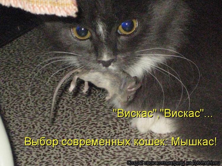 "Вискас","Вискас"... Выбор современных кошек: Мышкас!... Котоматрица: "Вискас","Вискас"... Выбор современных кошек: Мышкас!