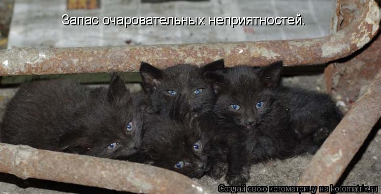 Запас очаровательных неприятностей.... Котоматрица: Запас очаровательных неприятностей.