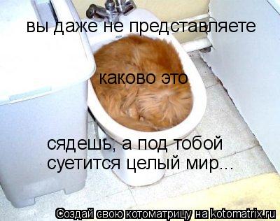 вы даже не представляете сядешь, а под тобой суетится целый мир... каково это... Котоматрица: вы даже не представляете сядешь, а под тобой суетится целый мир... каково это