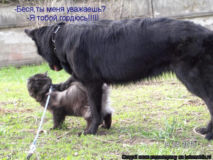 -Беся,ты меня уважаешь? -Я тобой гордюсь!!!!!... Котоматрица: -Беся,ты меня уважаешь? -Я тобой гордюсь!!!!!