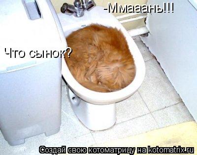 -Ммааань!!! Что сынок?... Котоматрица: -Ммааань!!! Что сынок?