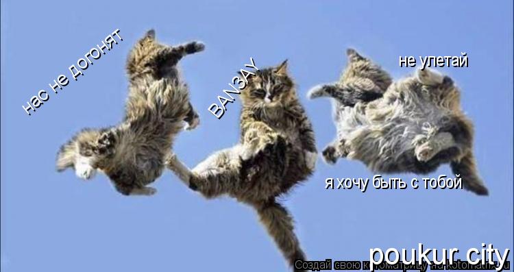 poukur city нас не догонят BAN3AY не улетай я хочу быть с тобой... Котоматрица: poukur city нас не догонят BAN3AY не улетай я хочу быть с тобой