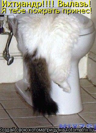 Котоматрица: Ихтиандр!!!! Вылазь!  Я тебе пожрать принес!