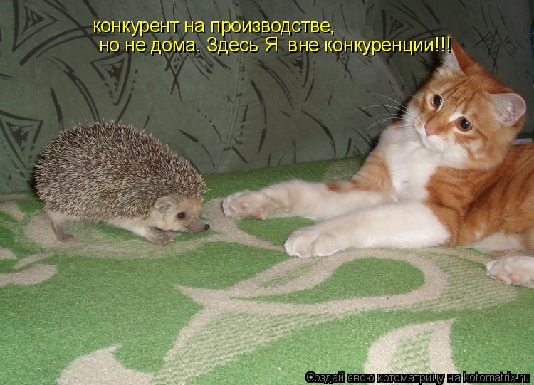 конкурент на производстве, но не дома. Здесь Я вне конкуренции!!!... Котоматрица: конкурент на производстве, но не дома. Здесь Я вне конкуренции!!!