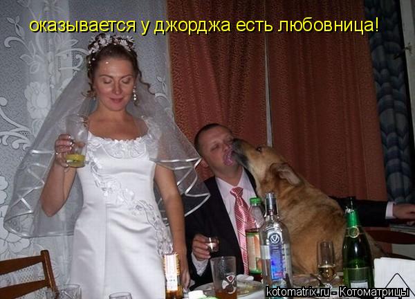 оказывается у джорджа есть любовница!... Котоматрица: оказывается у джорджа есть любовница!