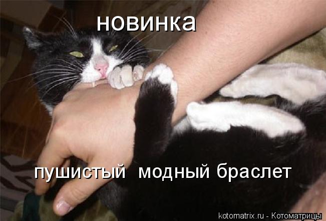 новинка пушистый модный браслет... Котоматрица: новинка пушистый модный браслет