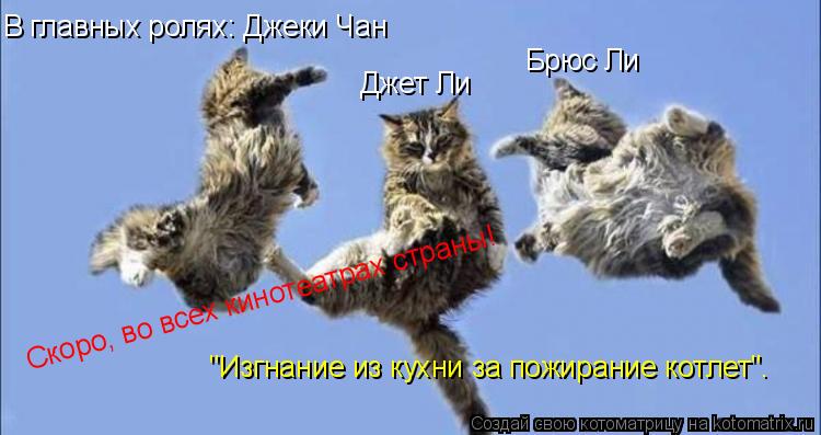 Джет Ли Брюс Ли Скоро, во всех кинотеатрах страны! В главных ролях: Джеки Чан "Изгнание из кухни за ... Котоматрица: Джет Ли Брюс Ли Скоро, во всех кинотеатрах страны! В главных ролях: Джеки Чан "Изгнание из кухни за пожирание котлет".