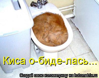 Киса о-биде-лась...... Котоматрица: Киса о-биде-лась...