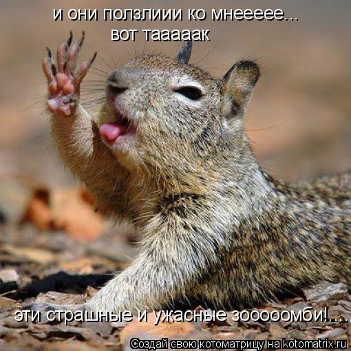 Котоматрица: и они ползлиии ко мнеееее... вот тааааак эти страшные и ужасные зооооомби!.....