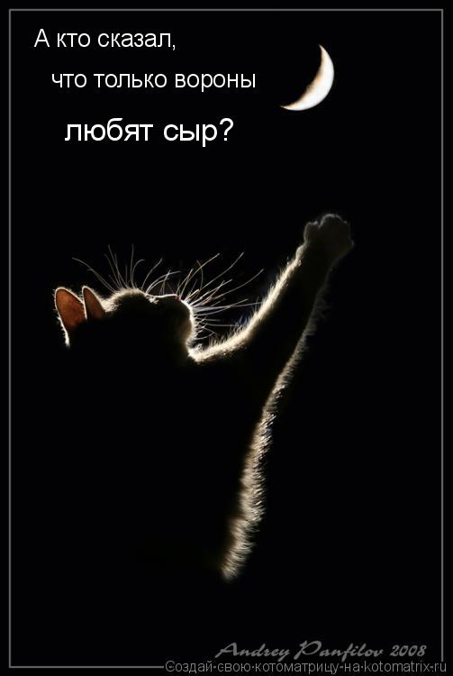 А кто сказал, что только вороны любят сыр?... Котоматрица: А кто сказал, что только вороны любят сыр?