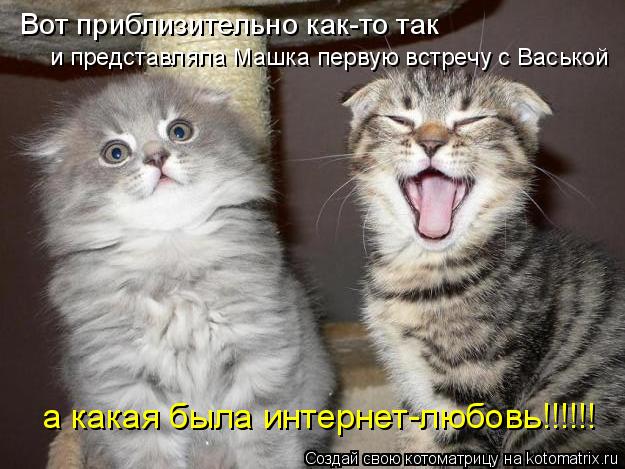 Котоматрица: Вот приблизительно как-то так и представляла Машка первую встречу с Васькой а какая была интернет-любовь!!!!!!