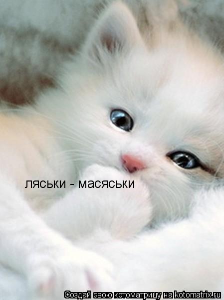 Котоматрица: ляськи - масяськи