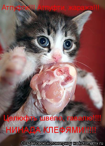 Котоматрица: Целюфть швело, гавалю!!!! Атпуфти!!! Атпуфти, жаража!!! НИНАДА КЛЕФЯМИ!!!!!