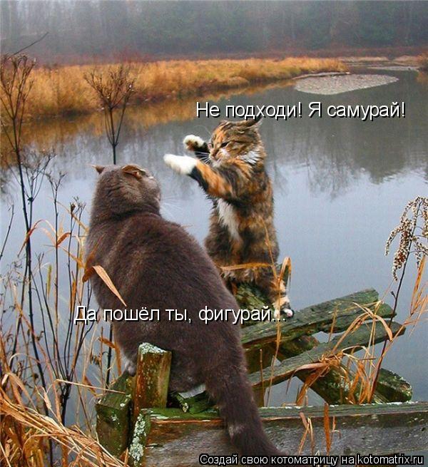 Не подходи! Я самурай! Да пошёл ты, фигурай...... Котоматрица: Не подходи! Я самурай! Да пошёл ты, фигурай...