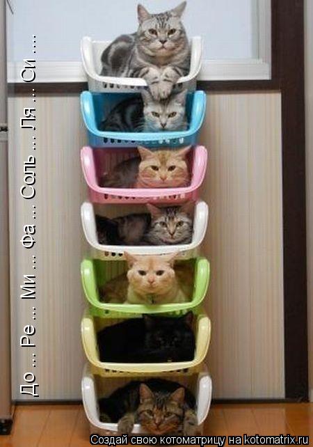 До ... Ре ... Ми ... Фа ... Соль ... Ля ... Си ....... Котоматрица: До ... Ре ... Ми ... Фа ... Соль ... Ля ... Си ....