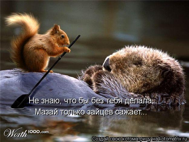 Не знаю, что бы без тебя делала, Мазай только зайцев сажает...... Котоматрица: Не знаю, что бы без тебя делала, Мазай только зайцев сажает...