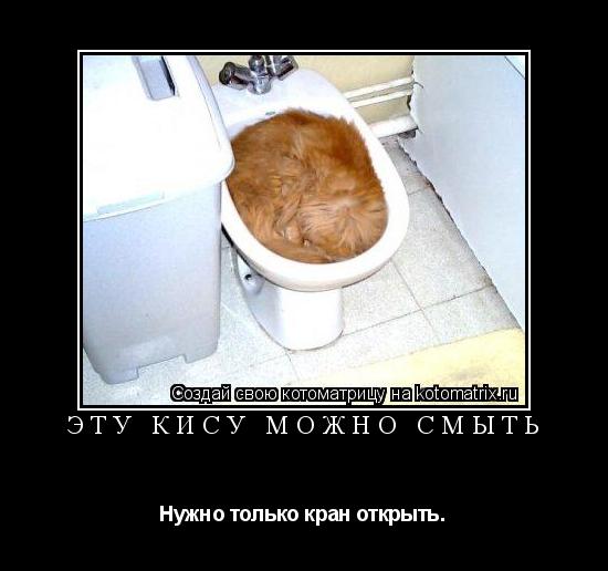 Эту кису можно смыть Нужно только кран открыть.... Котоматрица: Эту кису можно смыть Нужно только кран открыть.