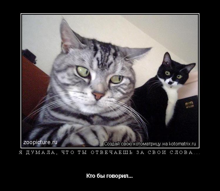 Котоматрица: Я думала, что ты отвечаешь за свои слова... Кто бы говорил...