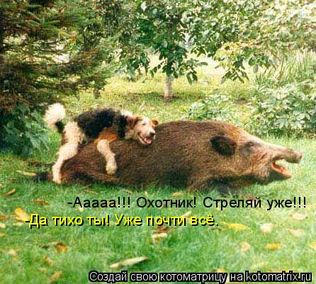 -Ааааа!!! Охотник! Стреляй уже!!! -Да тихо ты! Уже почти всё.... Котоматрица: -Ааааа!!! Охотник! Стреляй уже!!! -Да тихо ты! Уже почти всё.