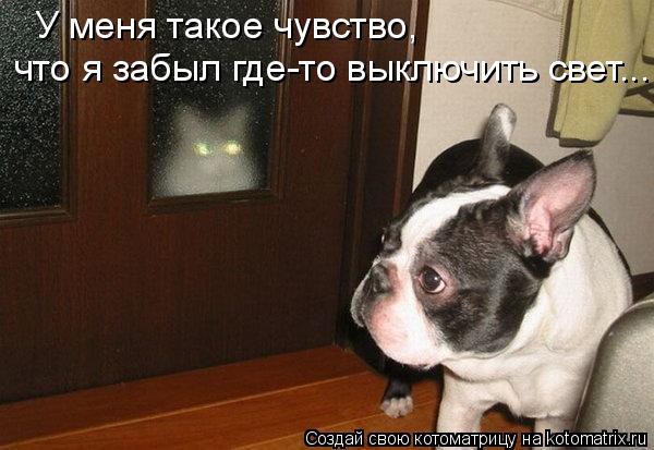 У меня такое чувство, что я забыл где-то выключить свет...... Котоматрица: У меня такое чувство, что я забыл где-то выключить свет...