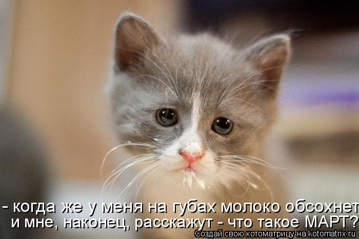 Котоматрица: и мне, наконец, расскажут - что такое МАРТ? - когда же у меня на губах молоко обсохнет и  мне, наконец,  расскажут что такое МАРТ?