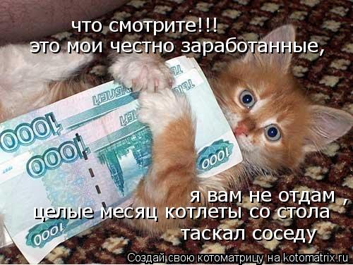 что смотрите!!! это мои честно заработанные, я вам не отдам , целые месяц котлеты со стола таска... Котоматрица: что смотрите!!! это мои честно заработанные, я вам не отдам , целые месяц котлеты со стола таскал соседу