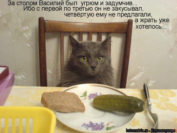 Котоматрица: За столом Василий был  угрюм и задумчив... Ибо с первой по третью он не закусывал, четвёртую ему не предлагали, а жрать уже хотелось...
