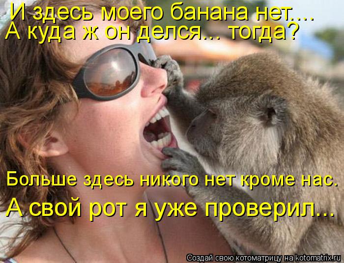 И здесь моего банана нет.... А свой рот я уже проверил... А куда ж он делся... тогда? Больше здесь н... Котоматрица: И здесь моего банана нет.... А свой рот я уже проверил... А куда ж он делся... тогда? Больше здесь никого нет кроме нас.