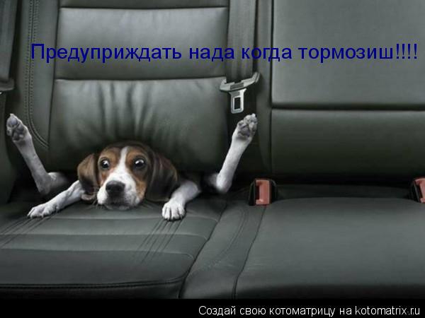 Предуприждать нада когда тормозиш!!!!... Котоматрица: Предуприждать нада когда тормозиш!!!!