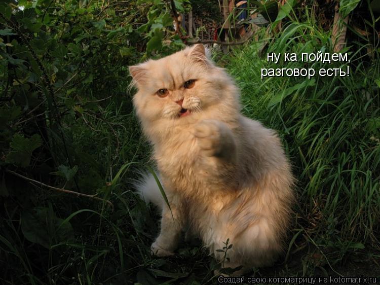Котоматрица: ну ка пойдем, разговор есть!