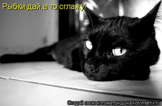 Котоматрица: Рыбки дай,а то сглажу!