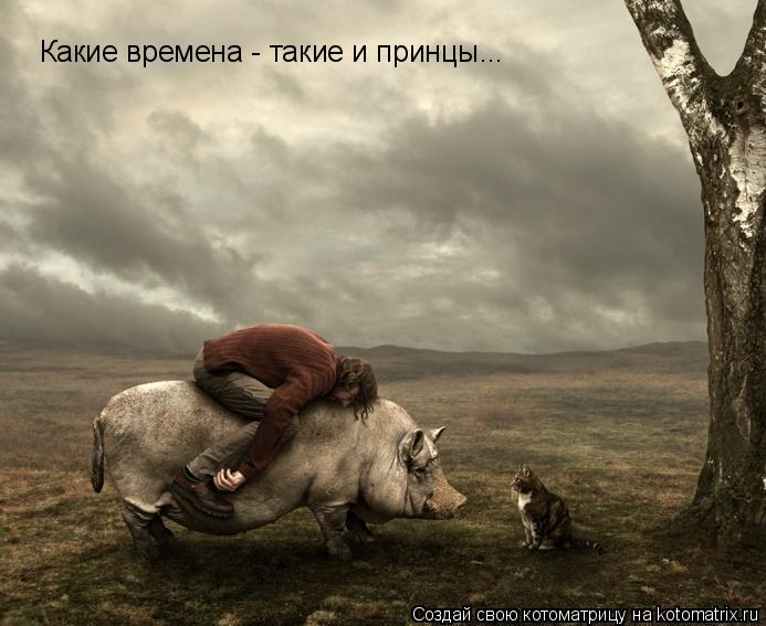 Котоматрица: Какие времена - такие и принцы...