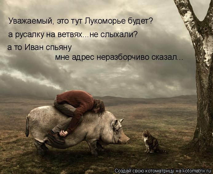 Котоматрица: Уважаемый, это тут Лукоморье будет? а русалку на ветвях...не слыхали? а то Иван спьяну  мне адрес неразборчиво сказал...