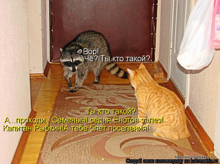 Ты кто такой? Вор! А...проходи...Семеныч! сёдня Енотов залез! Чё?!Ты кто такой? Капитан Рыбкин!А тебе... Котоматрица: Ты кто такой? Вор! А...проходи...Семеныч! сёдня Енотов залез! Чё?!Ты кто такой? Капитан Рыбкин!А тебе 5лет поселения!