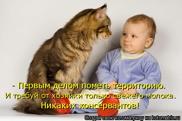 - Первым делом пометь территорию. И требуй от хозяйки только свежего молока. Никаких консервантов!... Котоматрица: - Первым делом пометь территорию. И требуй от хозяйки только свежего молока. Никаких консервантов!