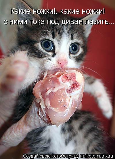 Котоматрица: Какие ножки!..какие ножки! с ними тока под диван лазить...