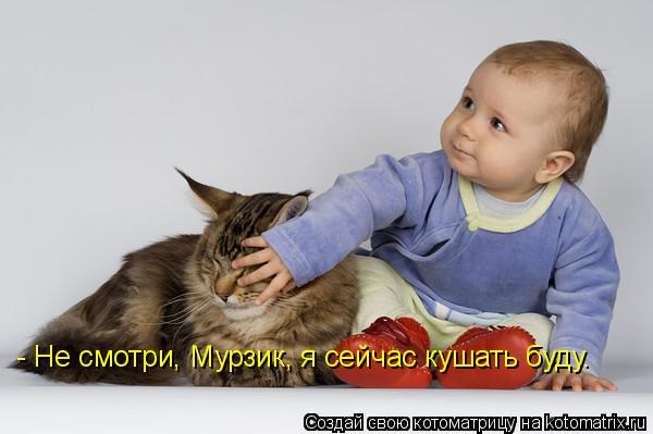 Котоматрица: - Не смотри, Мурзик, я сейчас кушать буду.