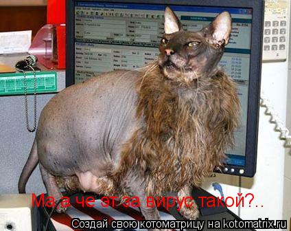 Котоматрица: Ма,а че эт за вирус такой?..