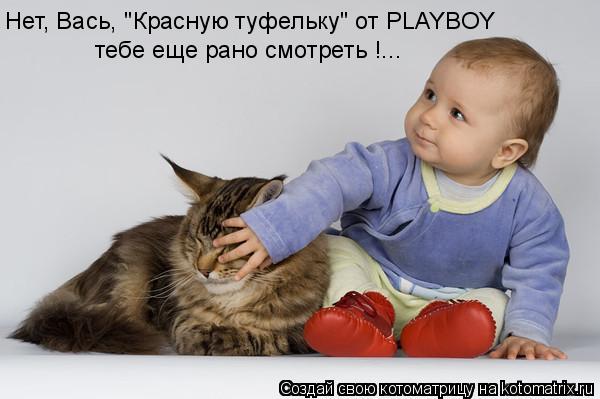 Котоматрица: тебе еще рано смотреть !... Нет, Вась, "Красную туфельку" от PLAYBOY