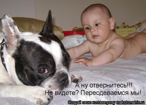 Котоматрица: А ну отвернитесь!!! Не видете? Переодеваемся мы!