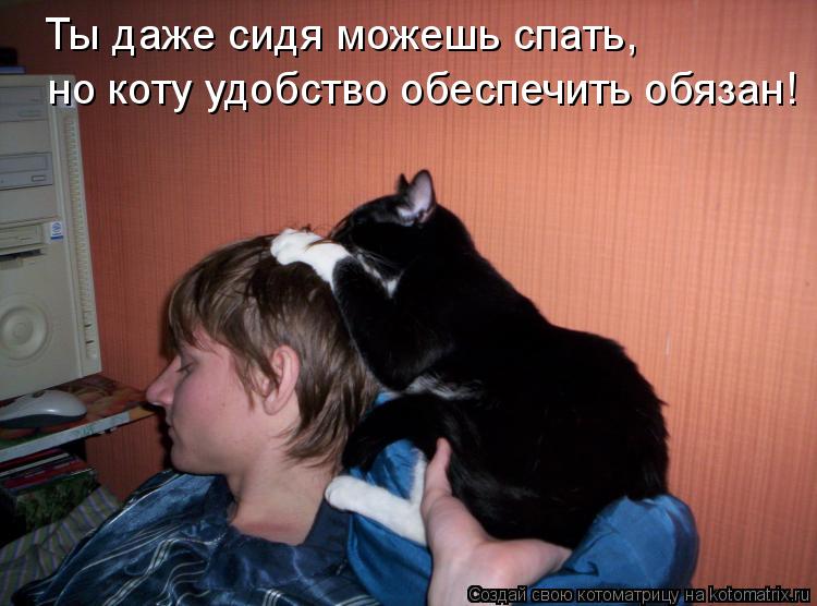 Котоматрица: Ты даже сидя можешь спать, но коту удобство обеспечить обязан!