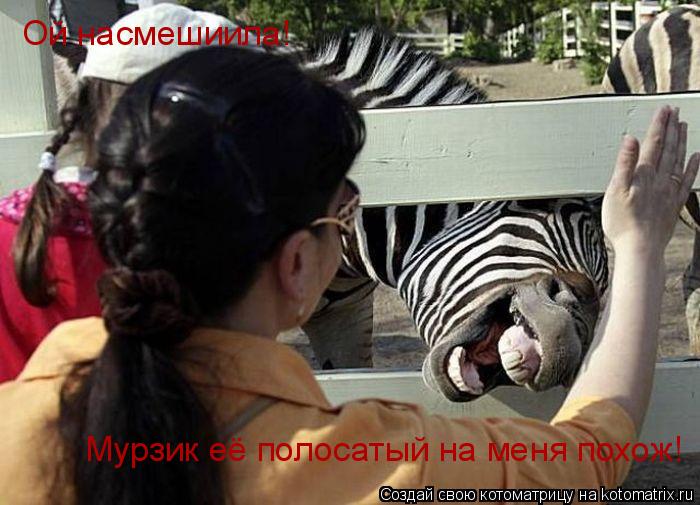 Котоматрица: Ой насмешиила! Мурзик её полосатый на меня похож!